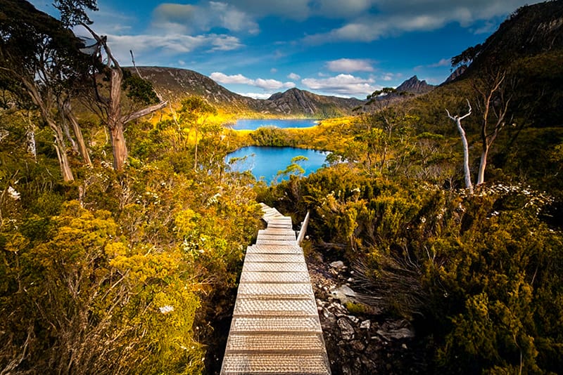 LOCUMs Speech Bubble