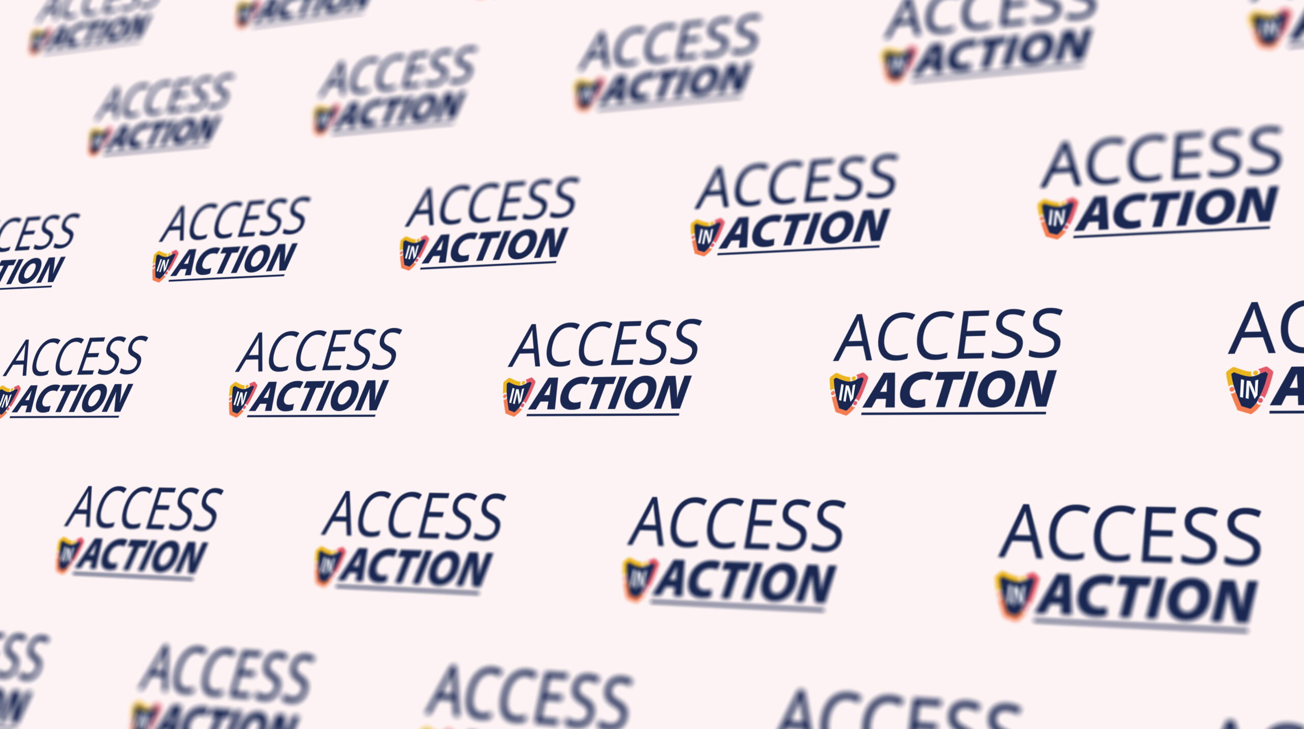 Access In Action Event The People Project