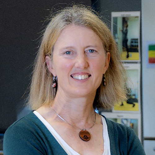 Image of Professor Michele Callisaya CPD Weekend 2026
