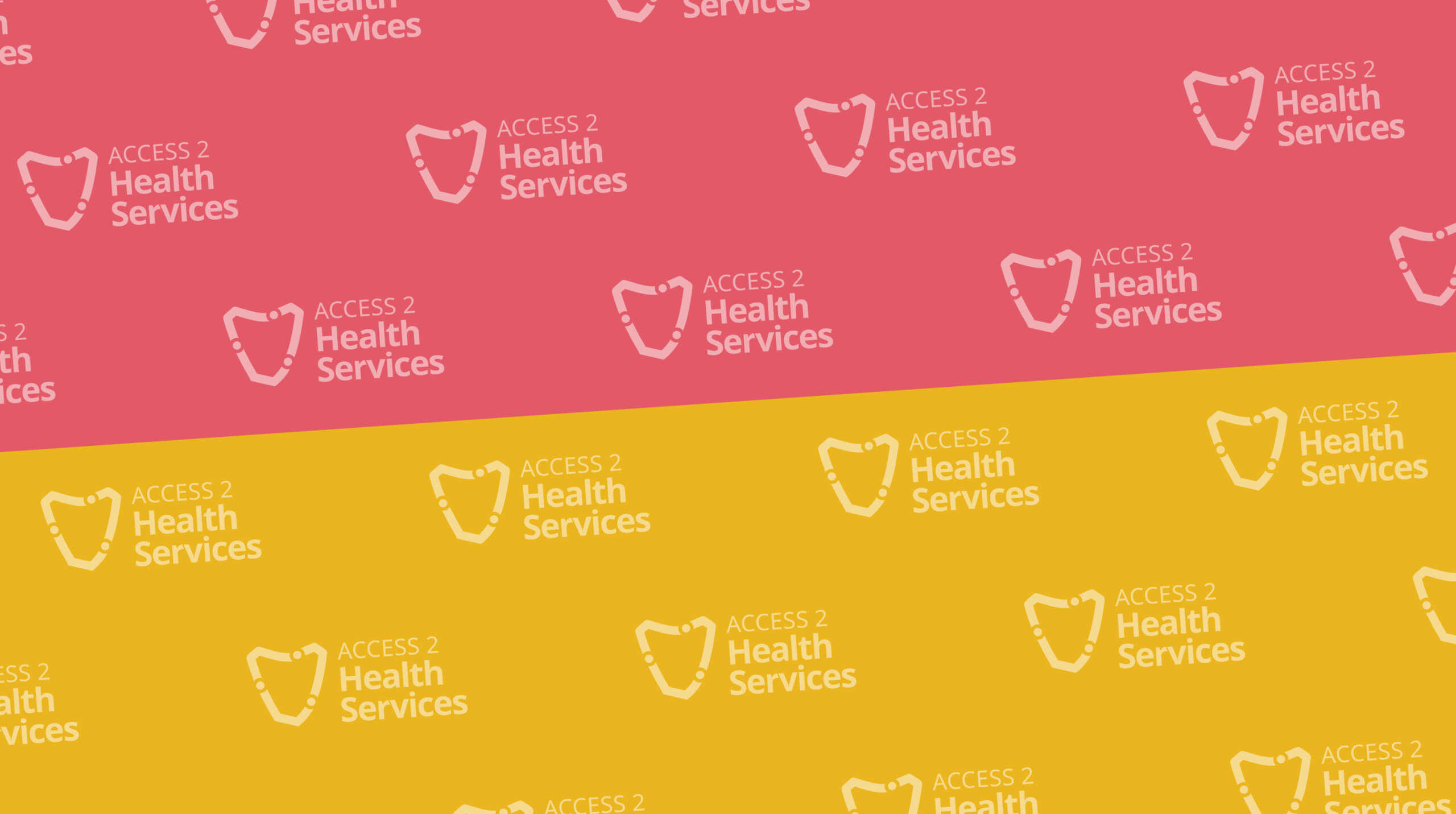 Image of Access 2 Health Services event.